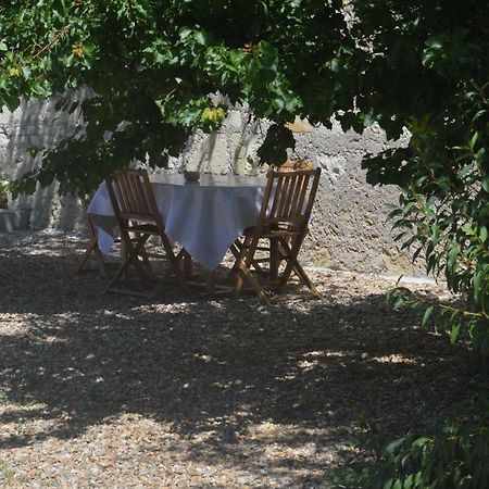 Gite Dans Le Vignoble De Bourgueil Le Port Boulet المظهر الخارجي الصورة