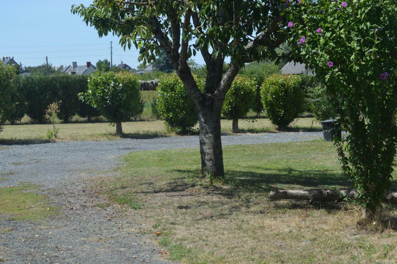 Gite Dans Le Vignoble De Bourgueil Le Port Boulet المظهر الخارجي الصورة